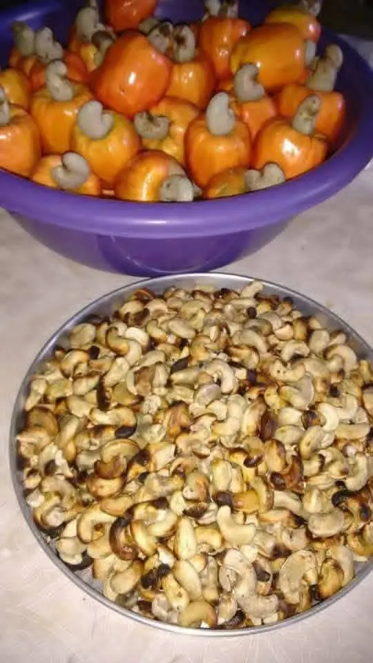Roasted cashew apples
